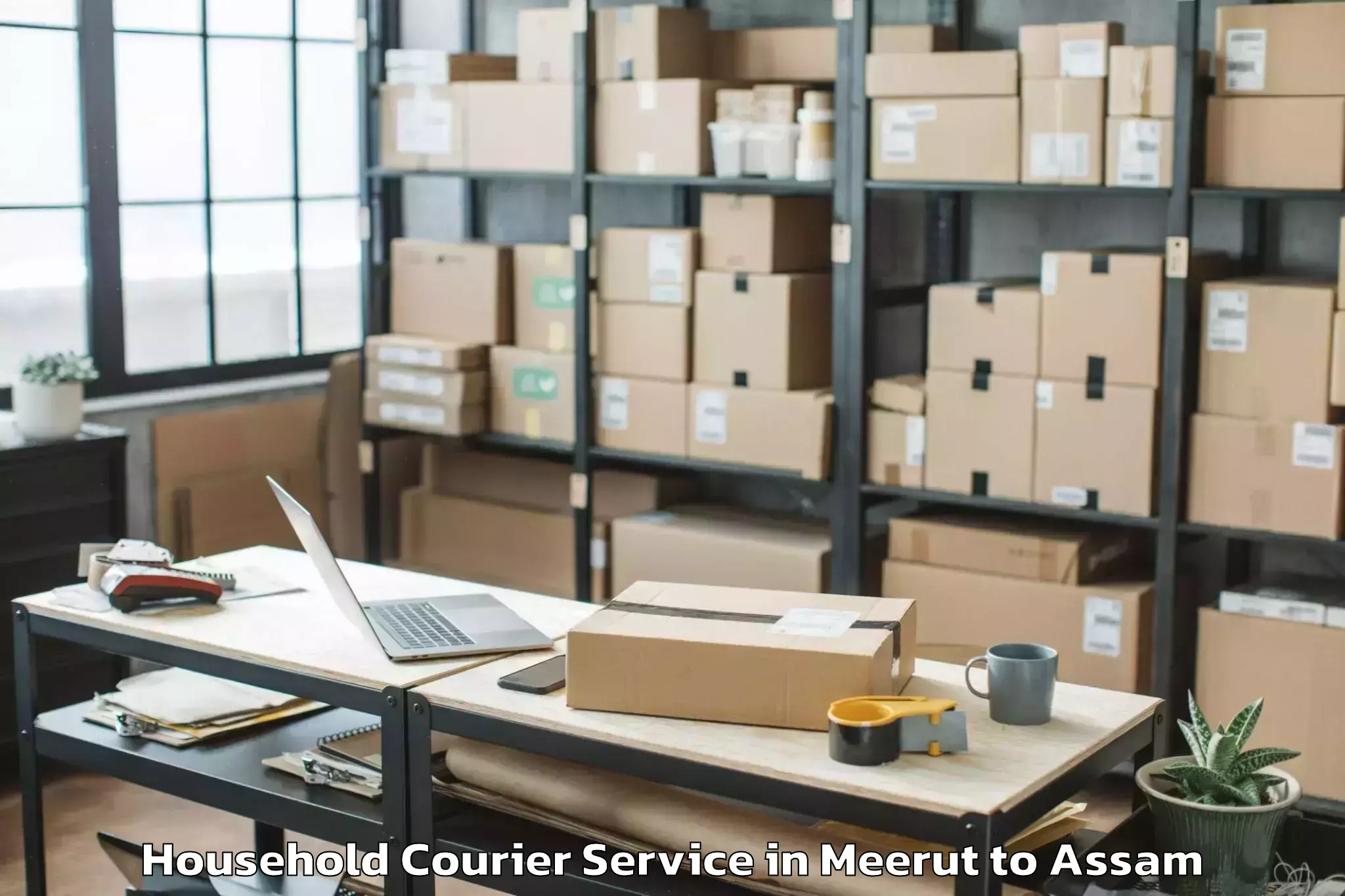 Quality Meerut to Dhakuakhana Pt Household Courier